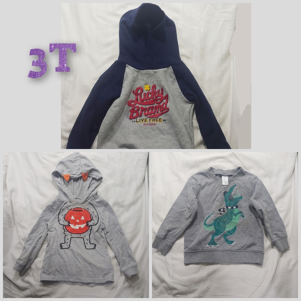 Three 3T sweaters